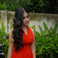 Sheena Shahabadi - Nandeeswarudu movie opening pictures